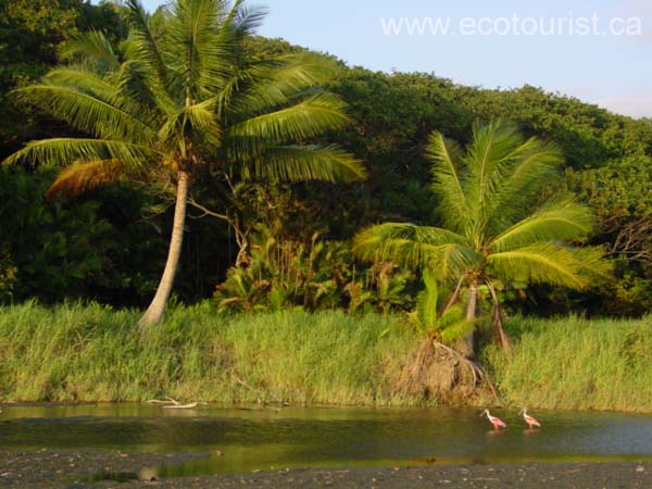 costarica191