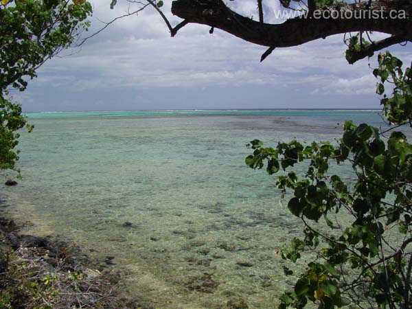 moorea134