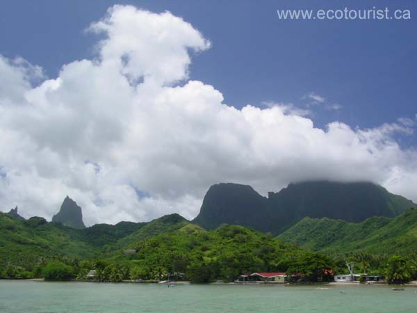 moorea136